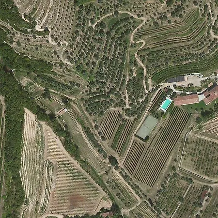 Costa Degli Ulivi 3*